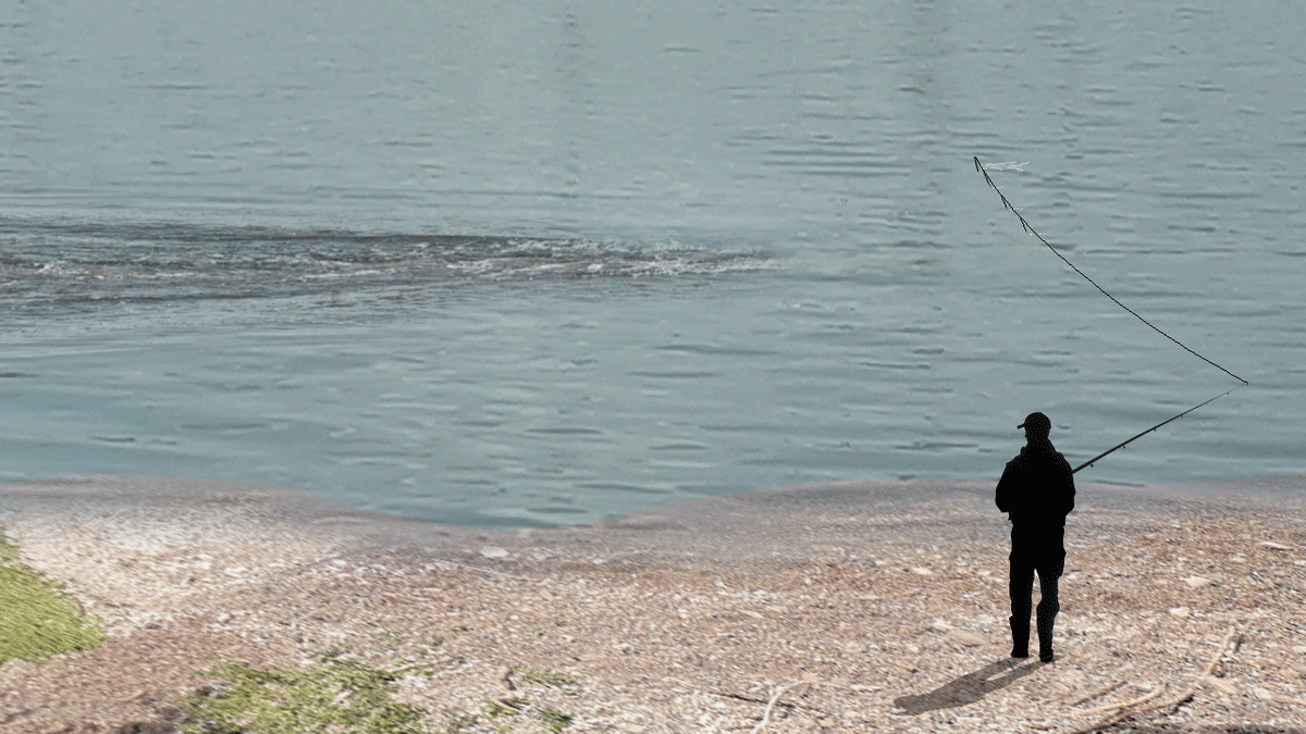 "Грабли" или "Расческа" - анимация одного из способов проводки при ловле на "Деревяшку".