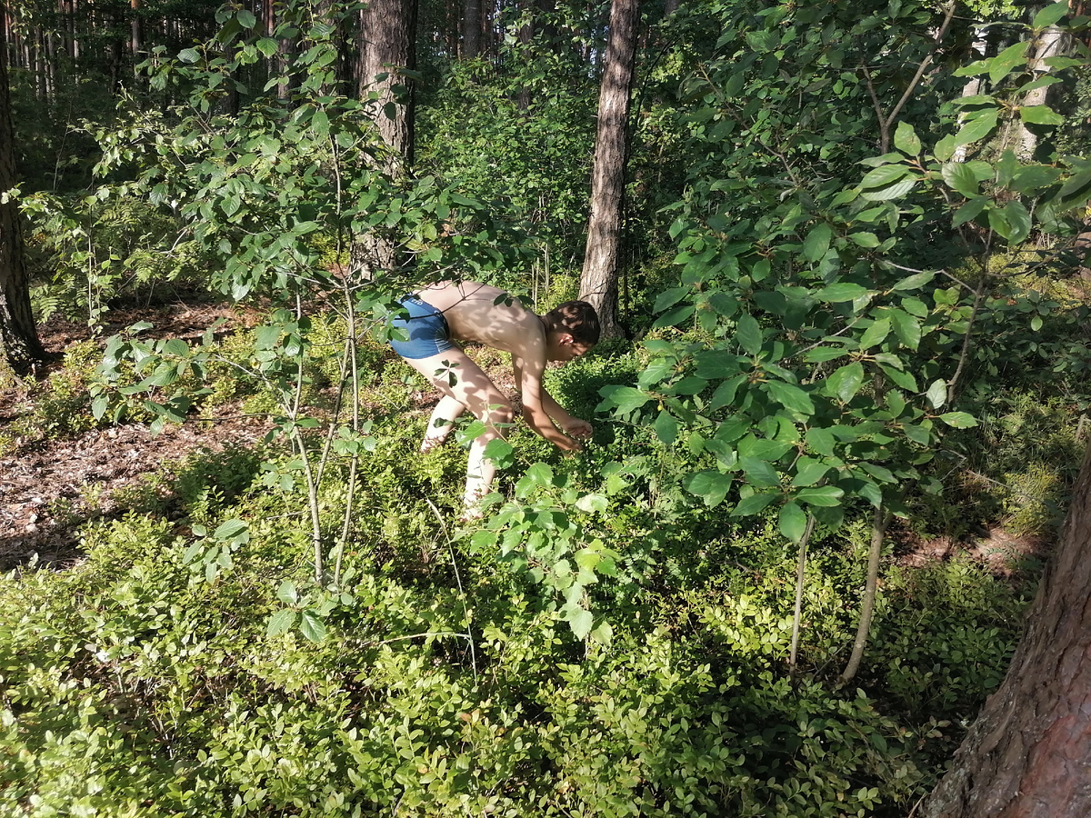 По дороге с озера домой можно и ягодами полакомиться ...