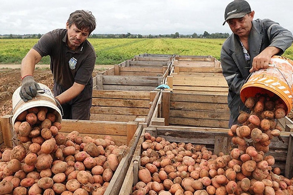 Открытый источник