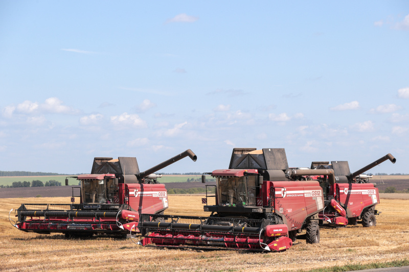    Фото: Belkin Alexey/Globallookpress