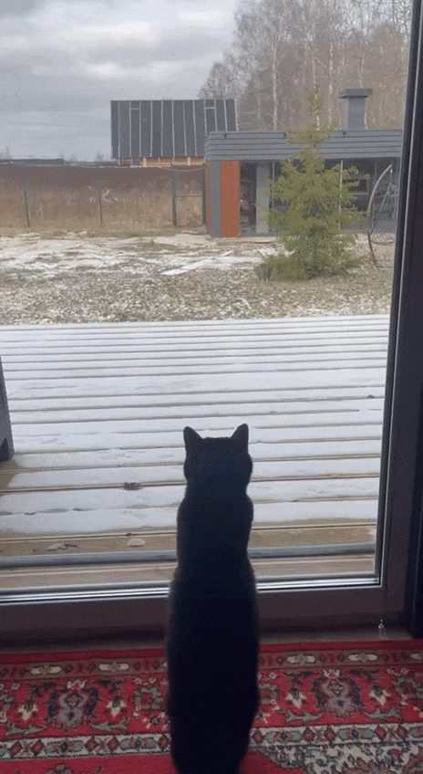 Охота началась! Пришли незванные гости! 