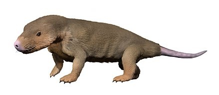 Абдалодон, живший тогда же по соседству.