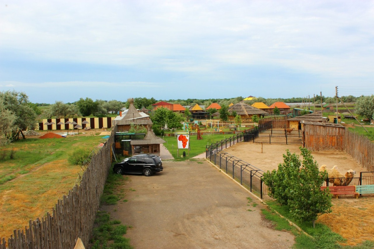 Это историческое фото зоопарка тех лет. Сейчас все застроено и не узнать это место.