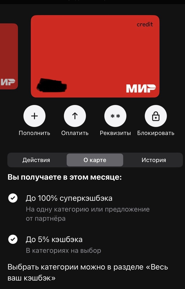 Вот так выглядит кредитная карта в приложении 