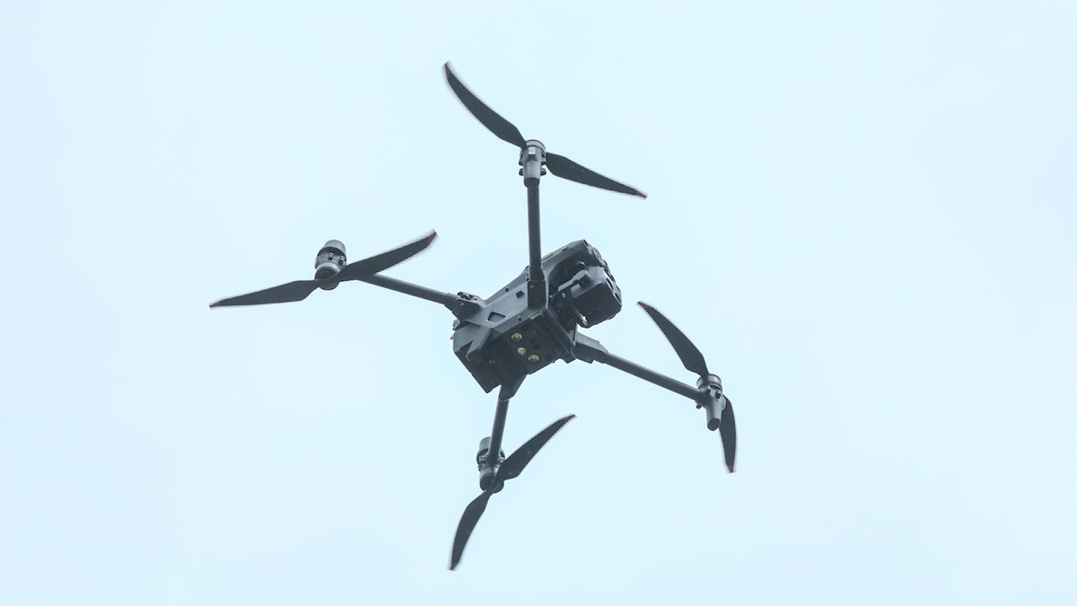    Фото: Petrov Sergey/news.ru