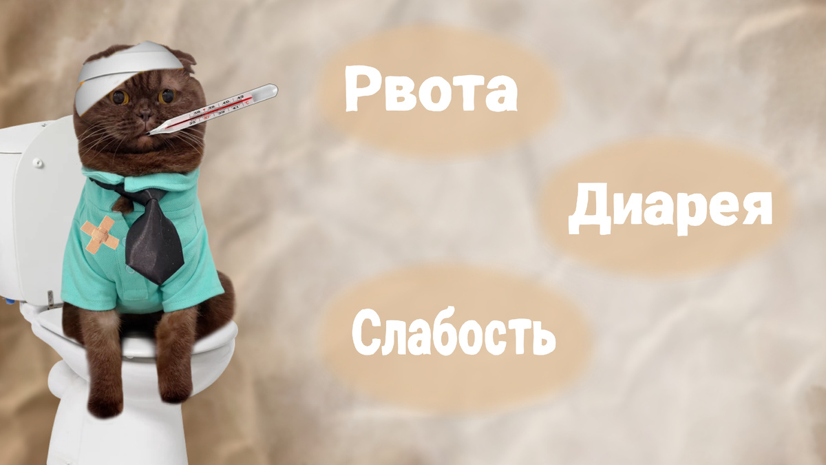 Симптомы отправления шоколадом 