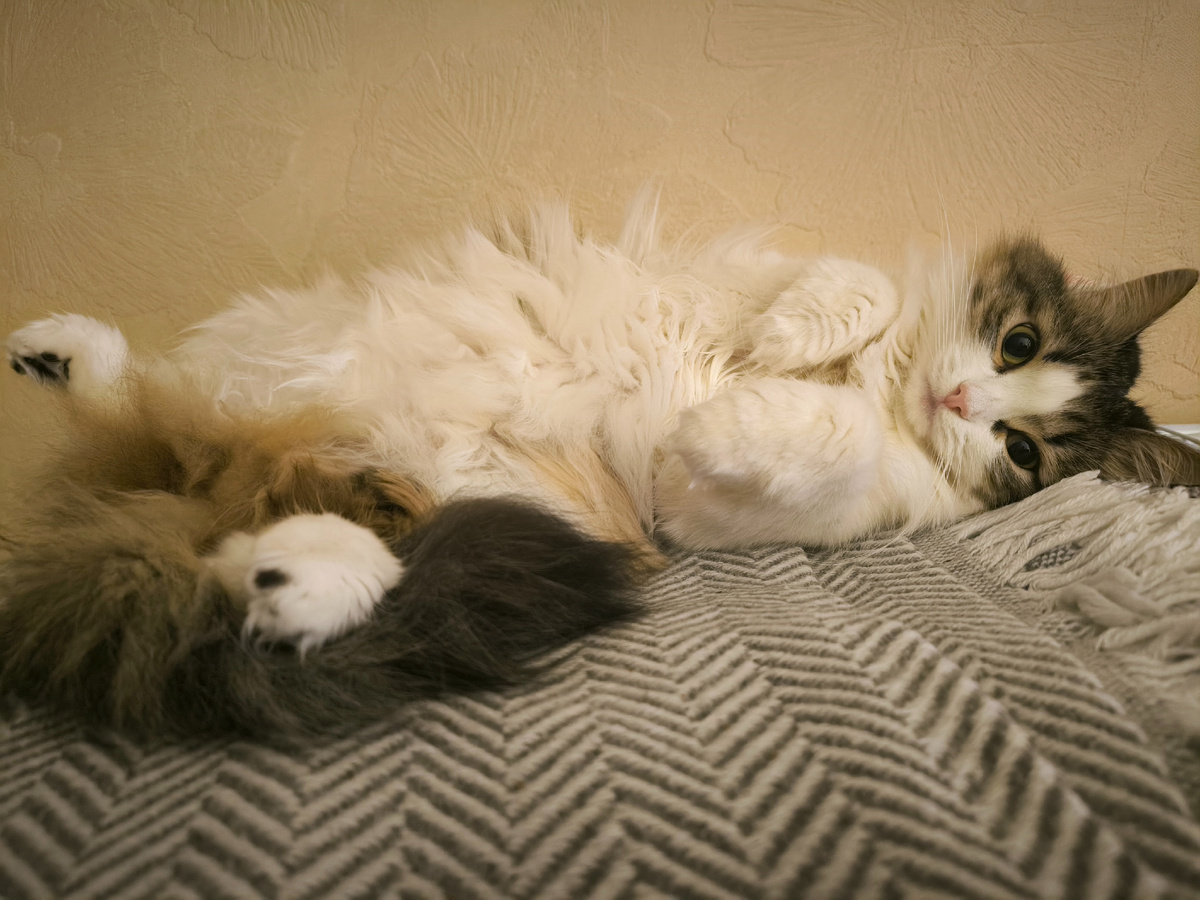 Утренняя Ляля❤️