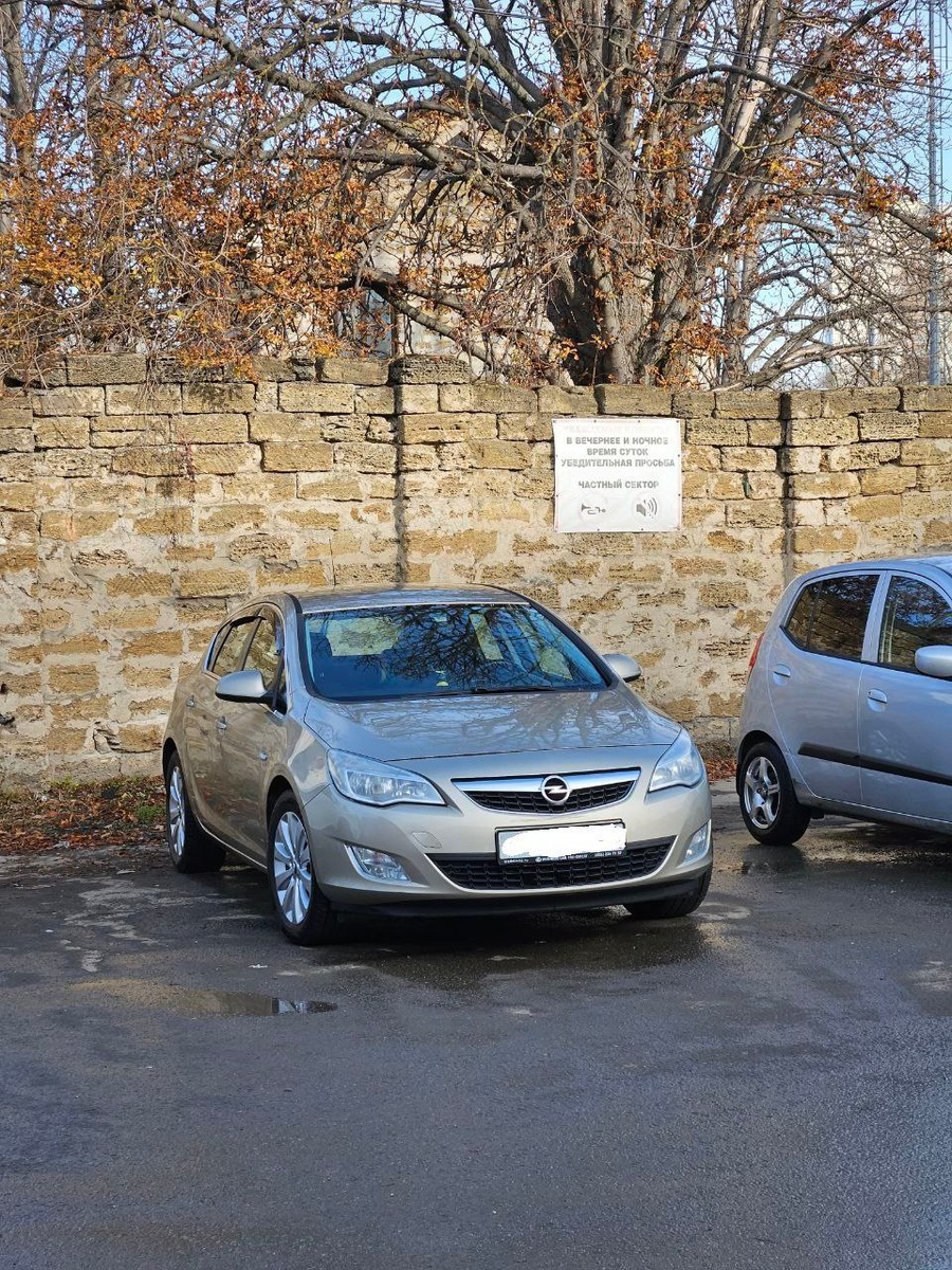 ноябрь 2024 год