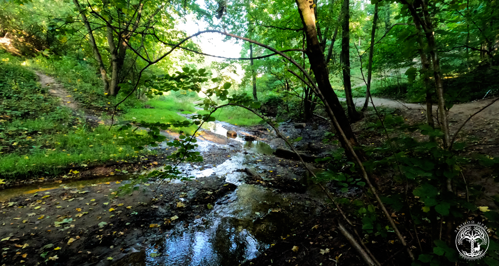 В самом сердце разлома протекают родники, которые считаются целебными. 