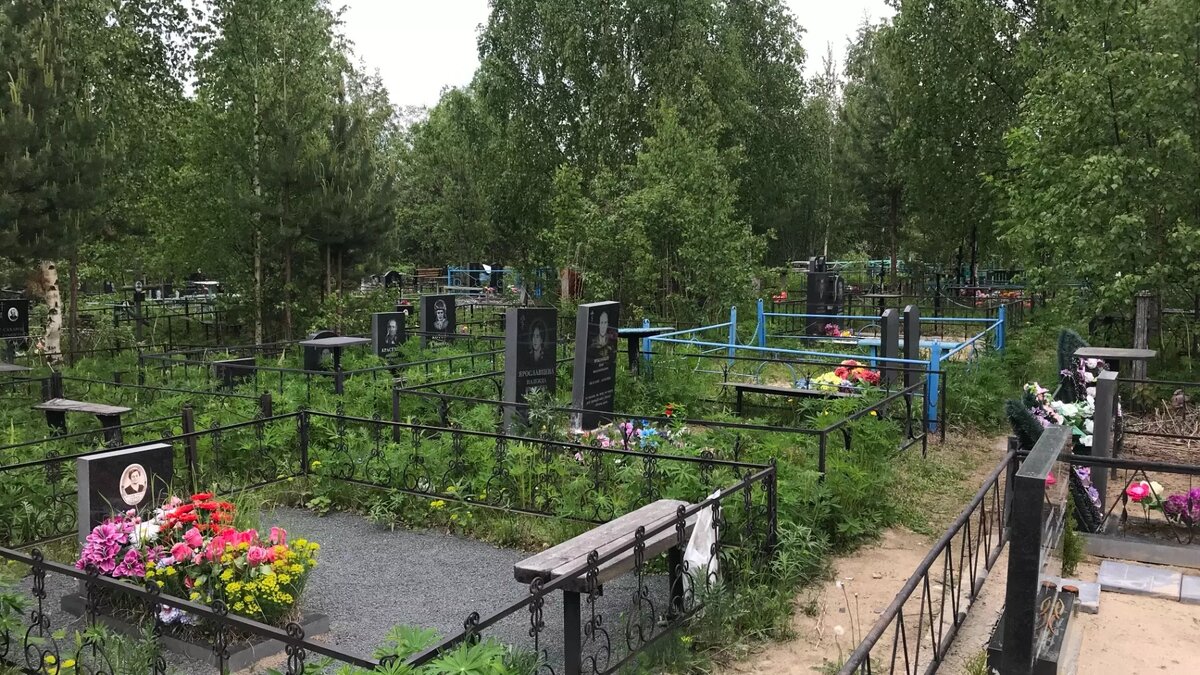     Источник: 1MI