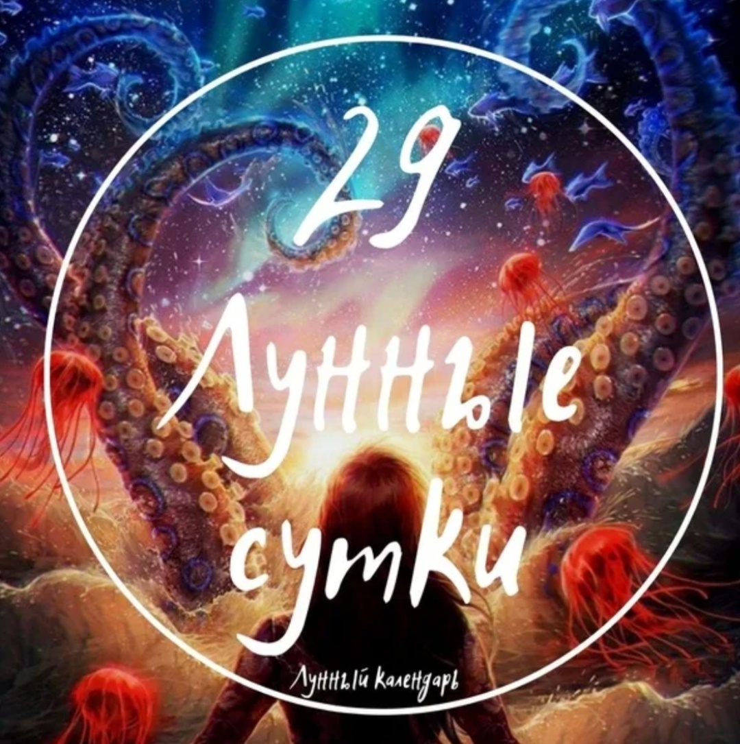 29 л.с.