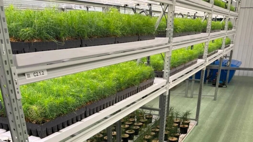    ФОТО: телеграм-канал Дмитрия Анисимова.