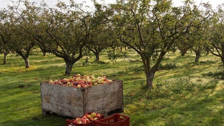 Фото с pinterest.com