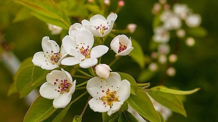 Фото с pinterest.com