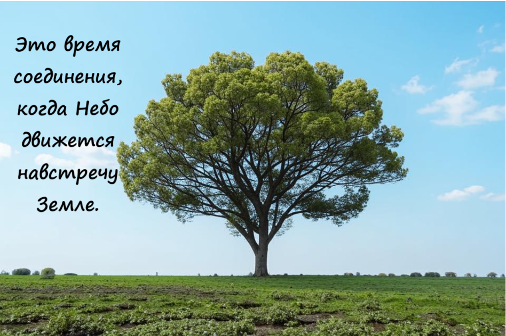 образ дня