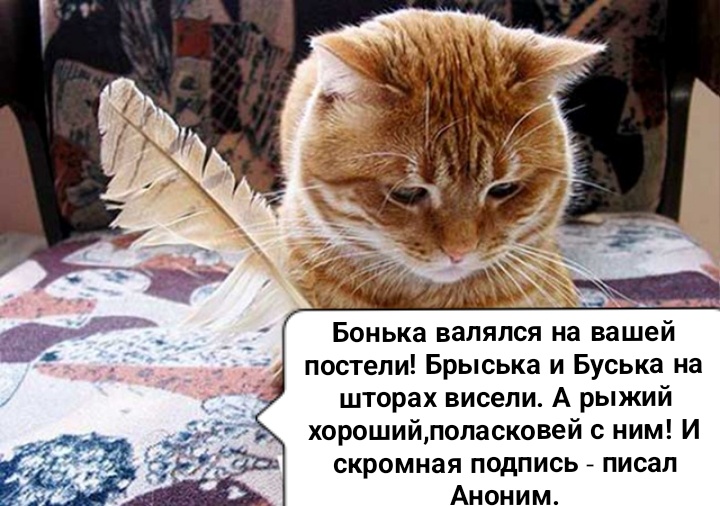 Докладная записка.Писал Аноним ( не подумайте на Серёжу!)