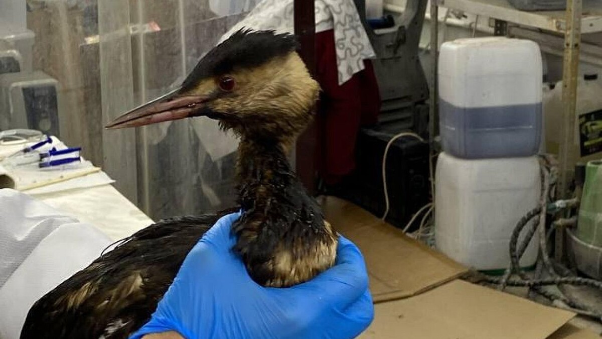    Фото: телеканал «Краснодар»