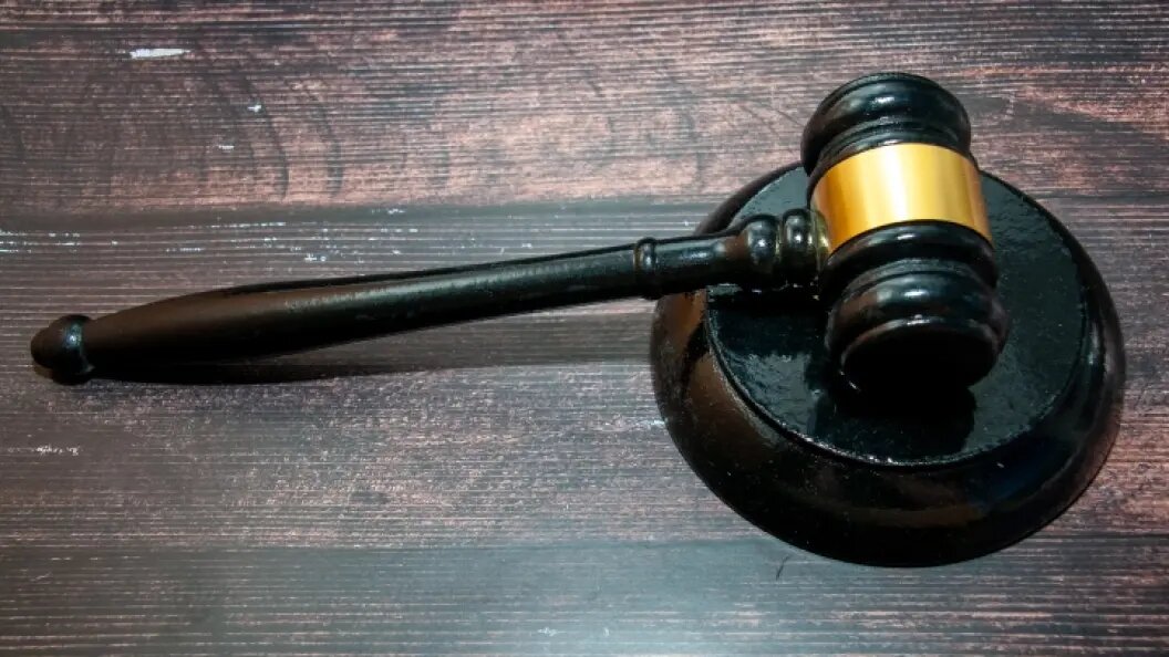    Фото: Svetlana Vozmilova /Globallookpress