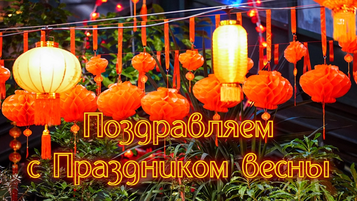 Картинки с добрым днем красивые с пожеланиями новые скачать бесплатно