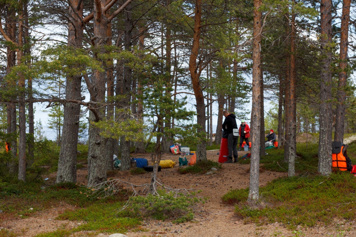 Стоянка в километре от дороги