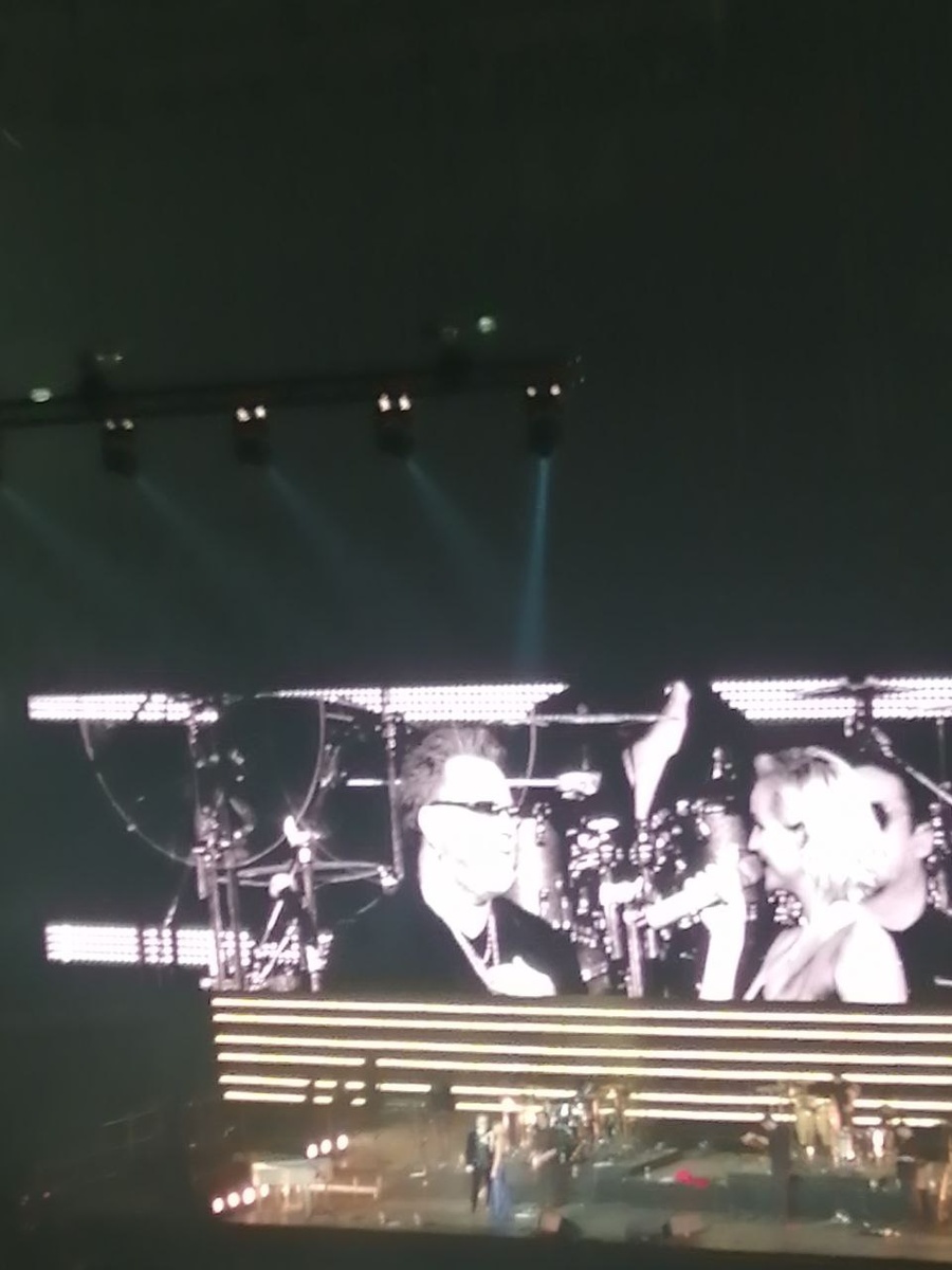 С Полиной Гагариной