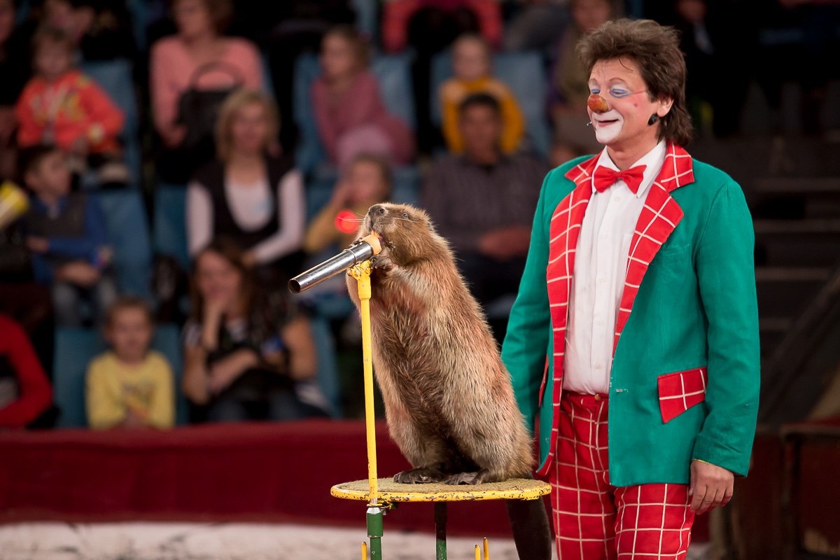 Фото Росгосцирка 