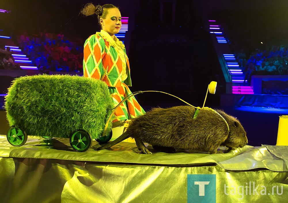 Фото "Тагильский рабочий" 