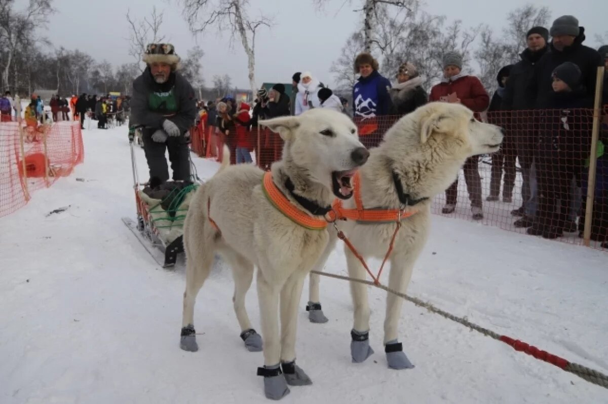    На Камчатке «Берингию» посвятят юбилею Победы в Великой Отечественной войне
