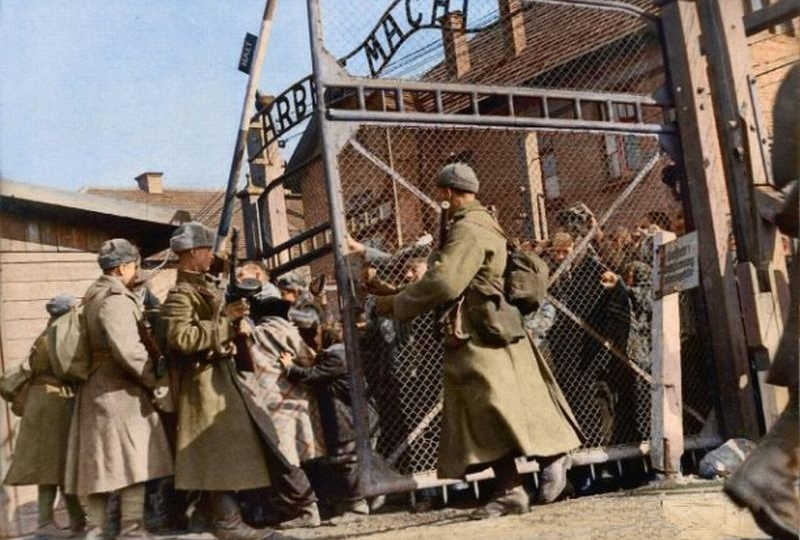 День в истории. Освобождение Освенцима