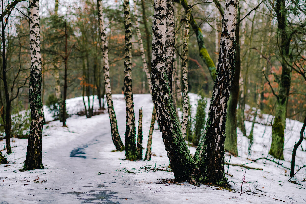 Фото: the Archive Team / Wikimedia Commons