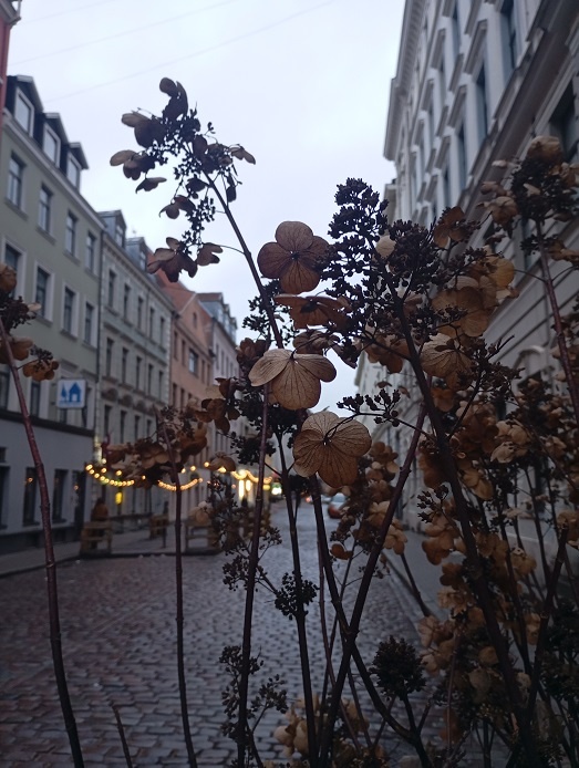 Рига, 27 января 2025