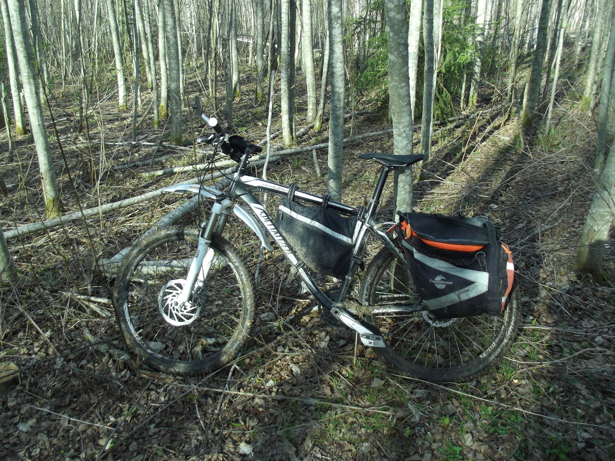 Велосипед в дебрях