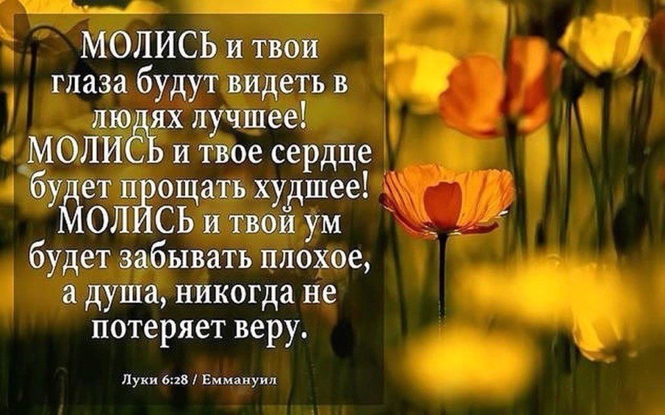 Как сильно сказано! Фото из свободного источника в Интернете.