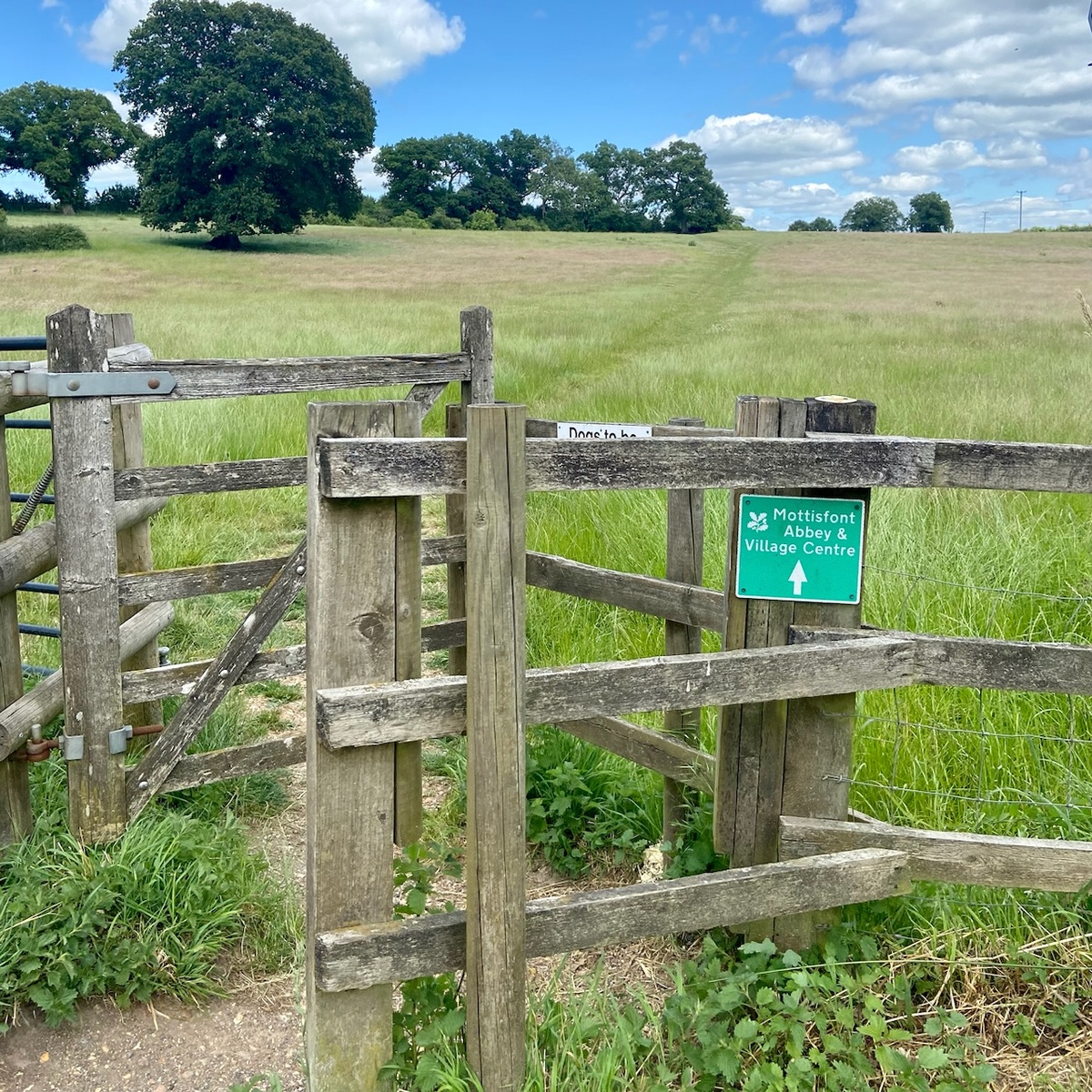 Пеший путь в сад-коллекцию проходит через луга