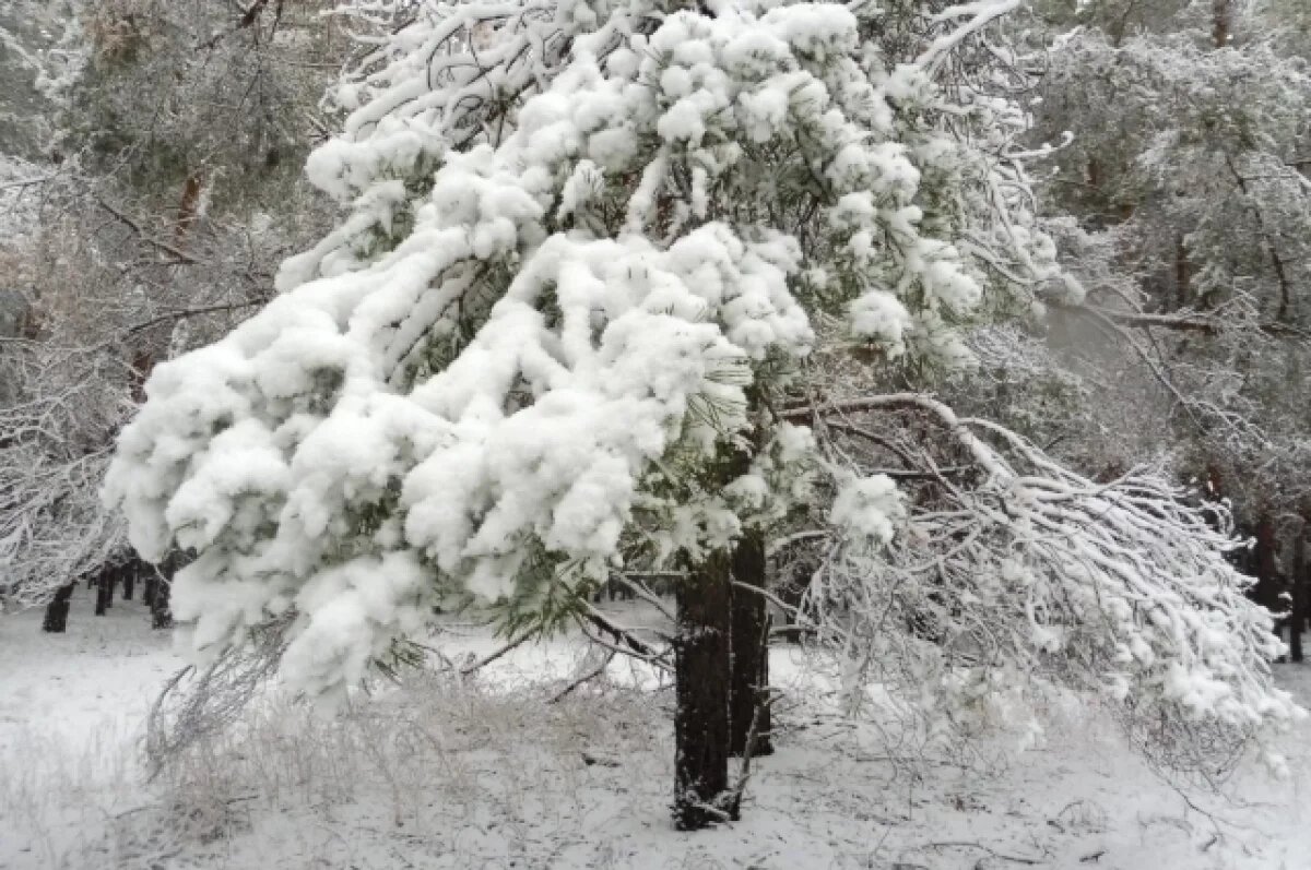    Прогноз по часам.