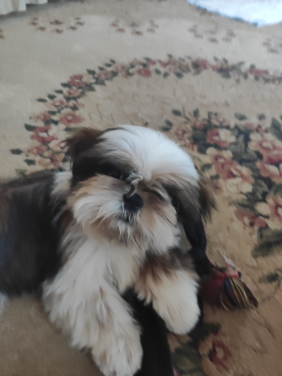 А вы думаете я не могу быть серьезным?