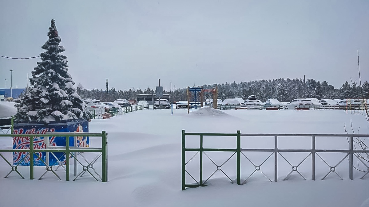     Источник: 1MI