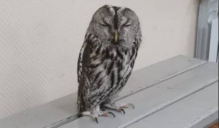    Фото: прокуратура Москвы Екатерина Шахнина