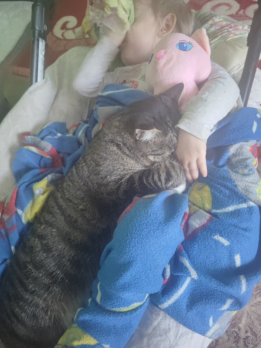 Васька в коляске с Алисой... 