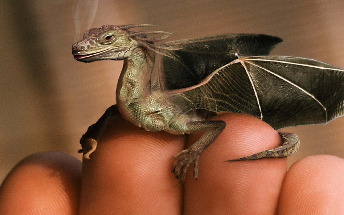 Хороший, да? ) фото яндекс.