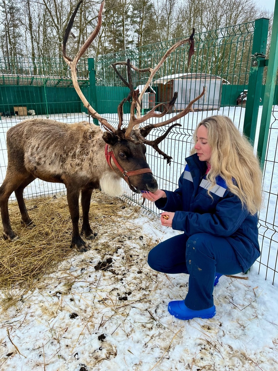 Фото: ГУ ветеринарии Смоленской области Юля Баранова  📷
