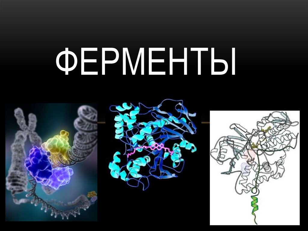 фото с ресурса cool-readers.ru