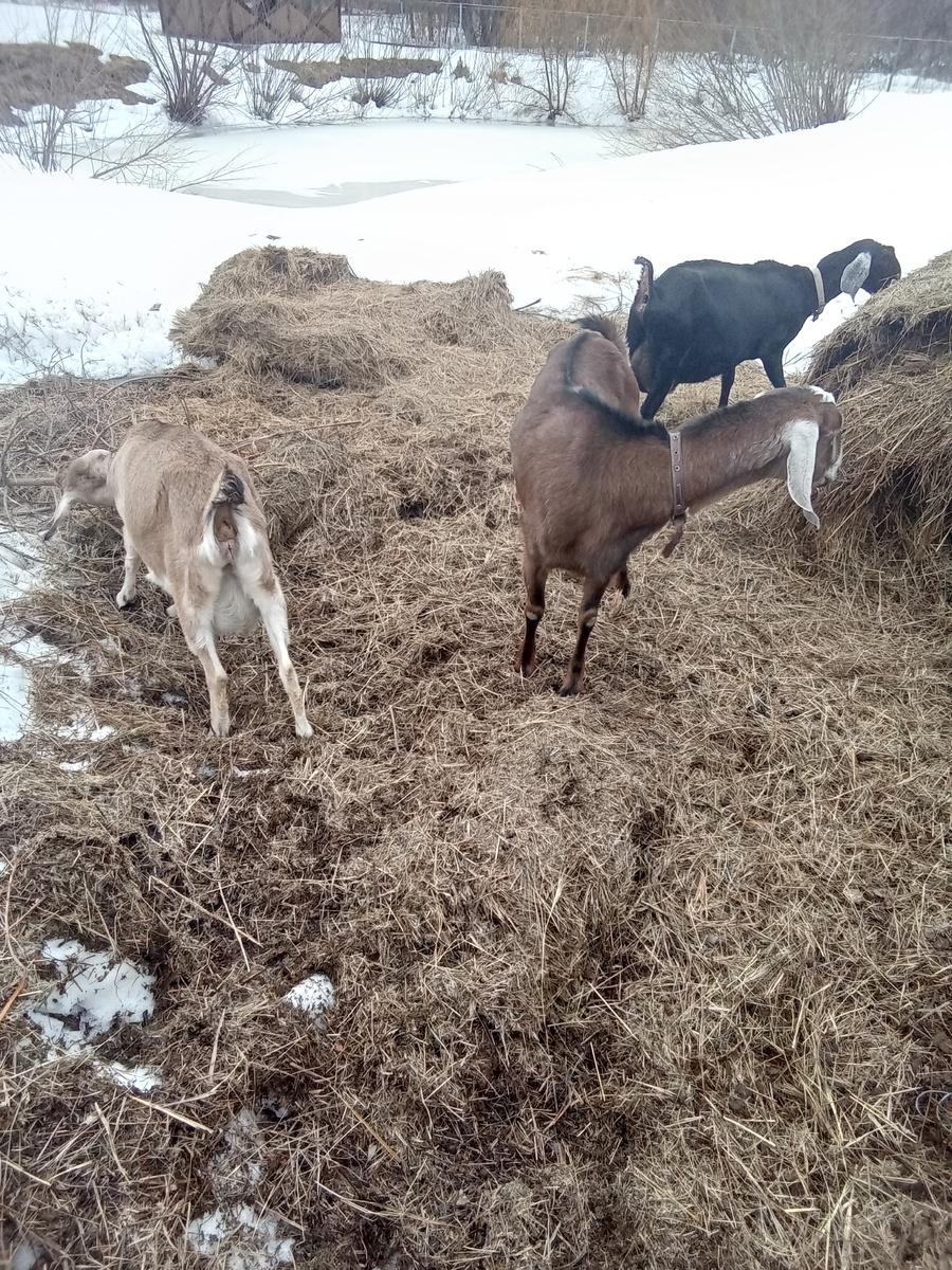 Фото автора.