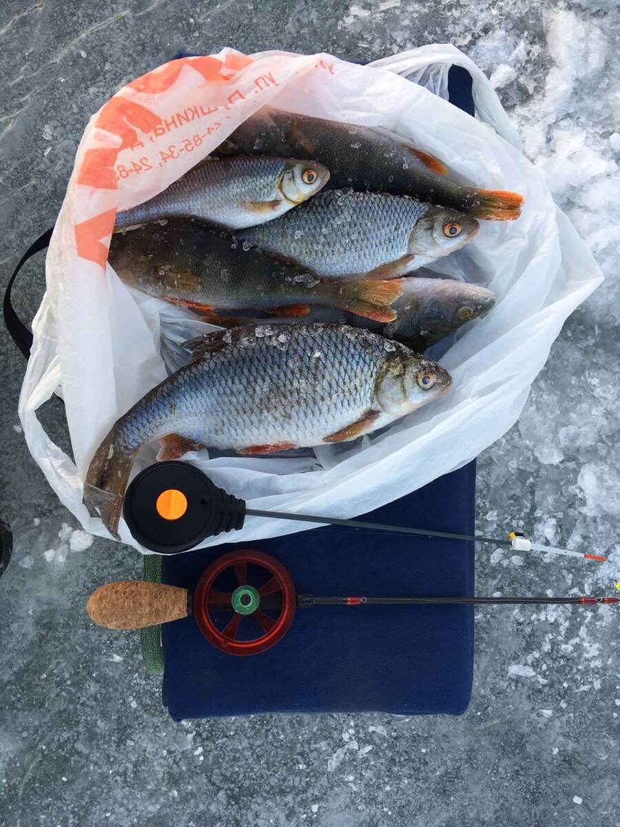 Зимний улов