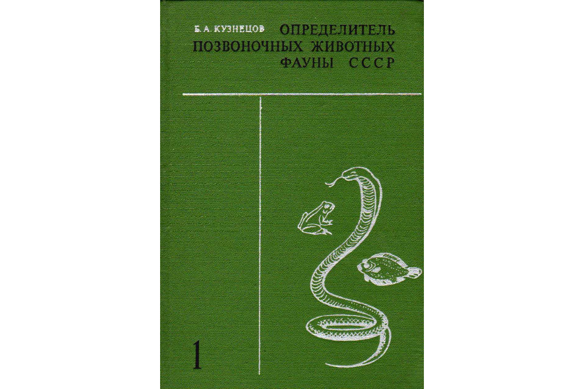 Вот такой у нас был определитель