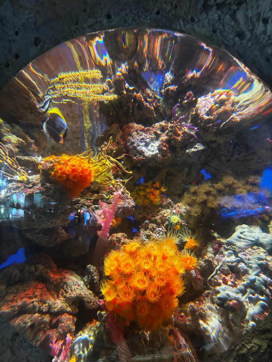 Все фото автора