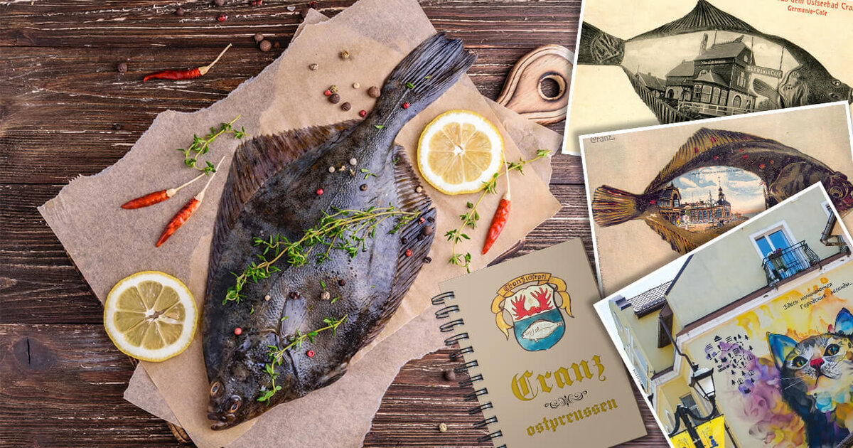 Почему на гербе Зеленоградска изображена камбала