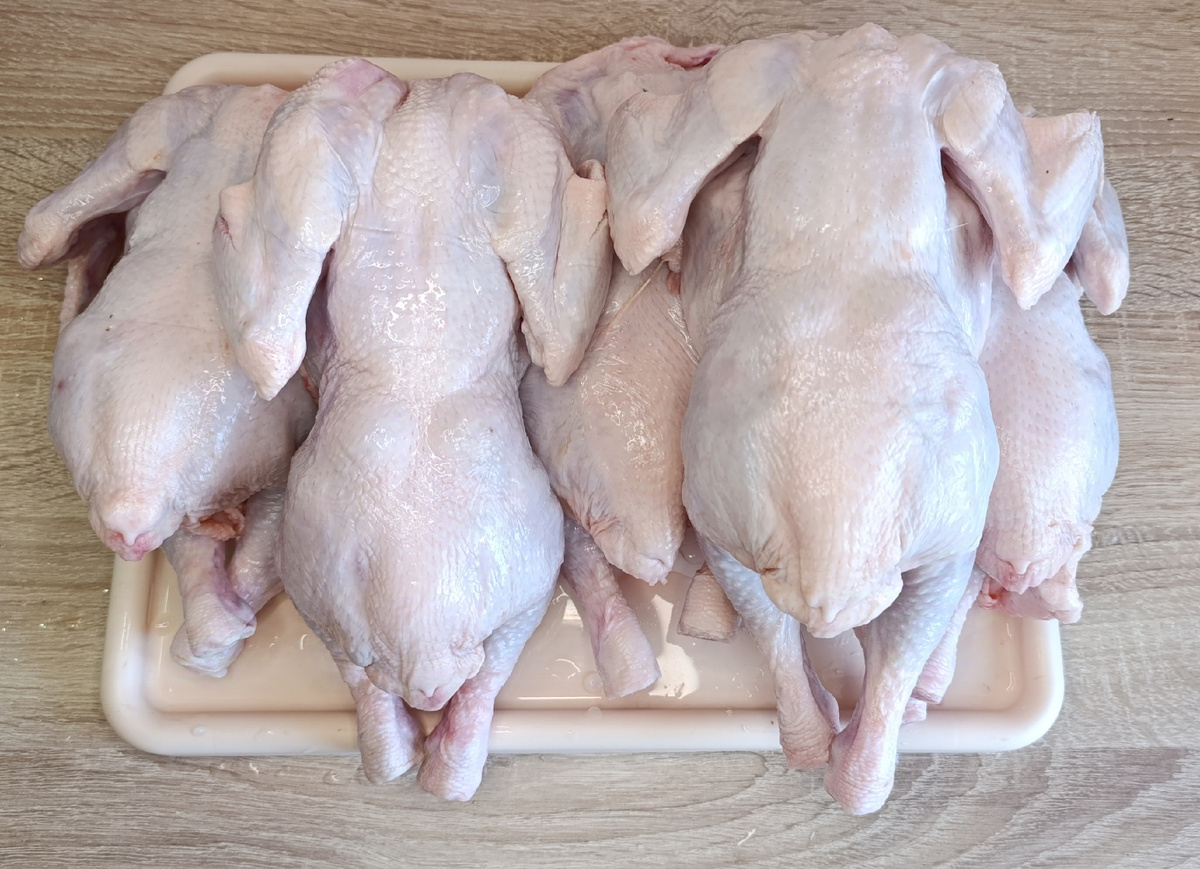 Фото Уралочка 