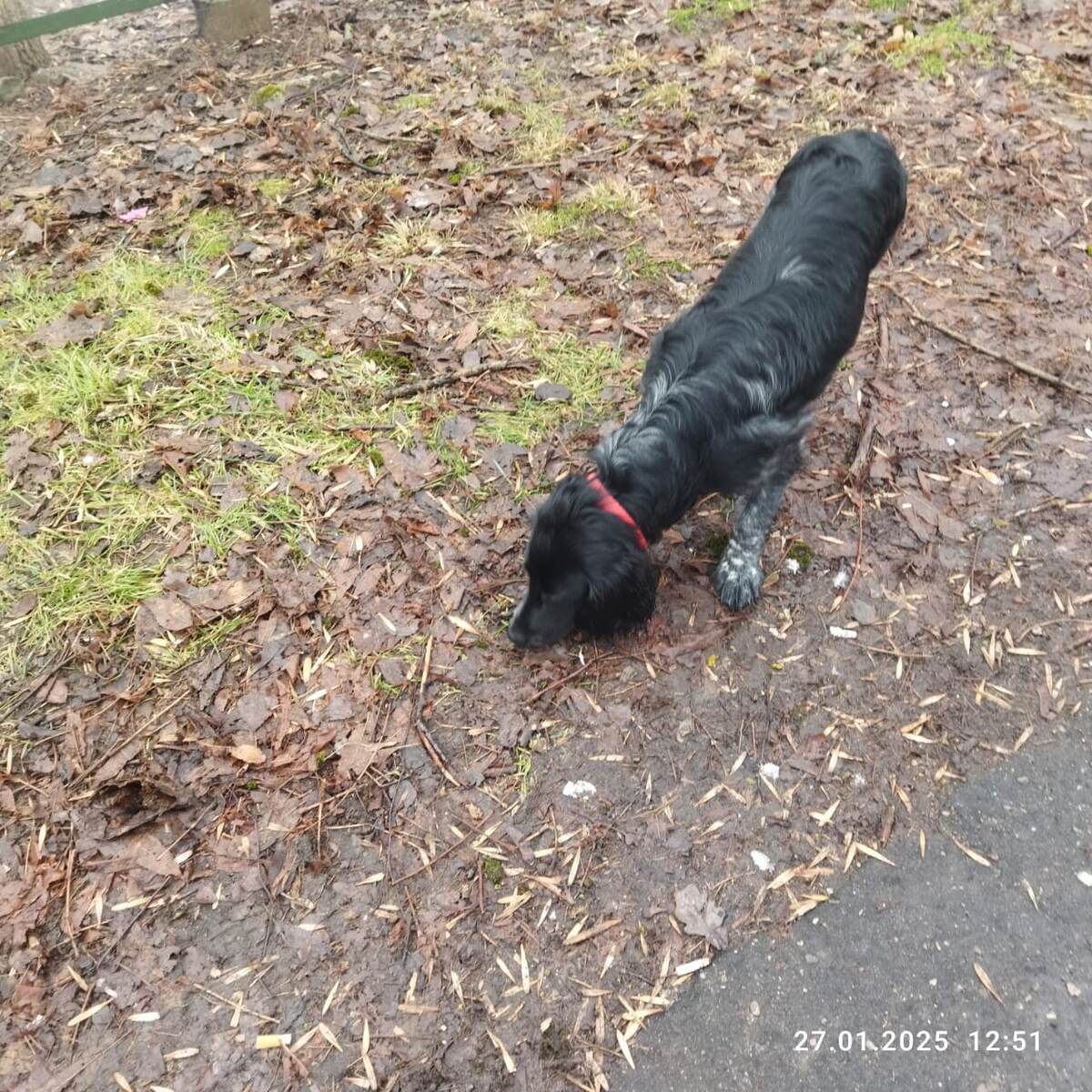 И это не теплотрасса!! Так - у нас во дворе.