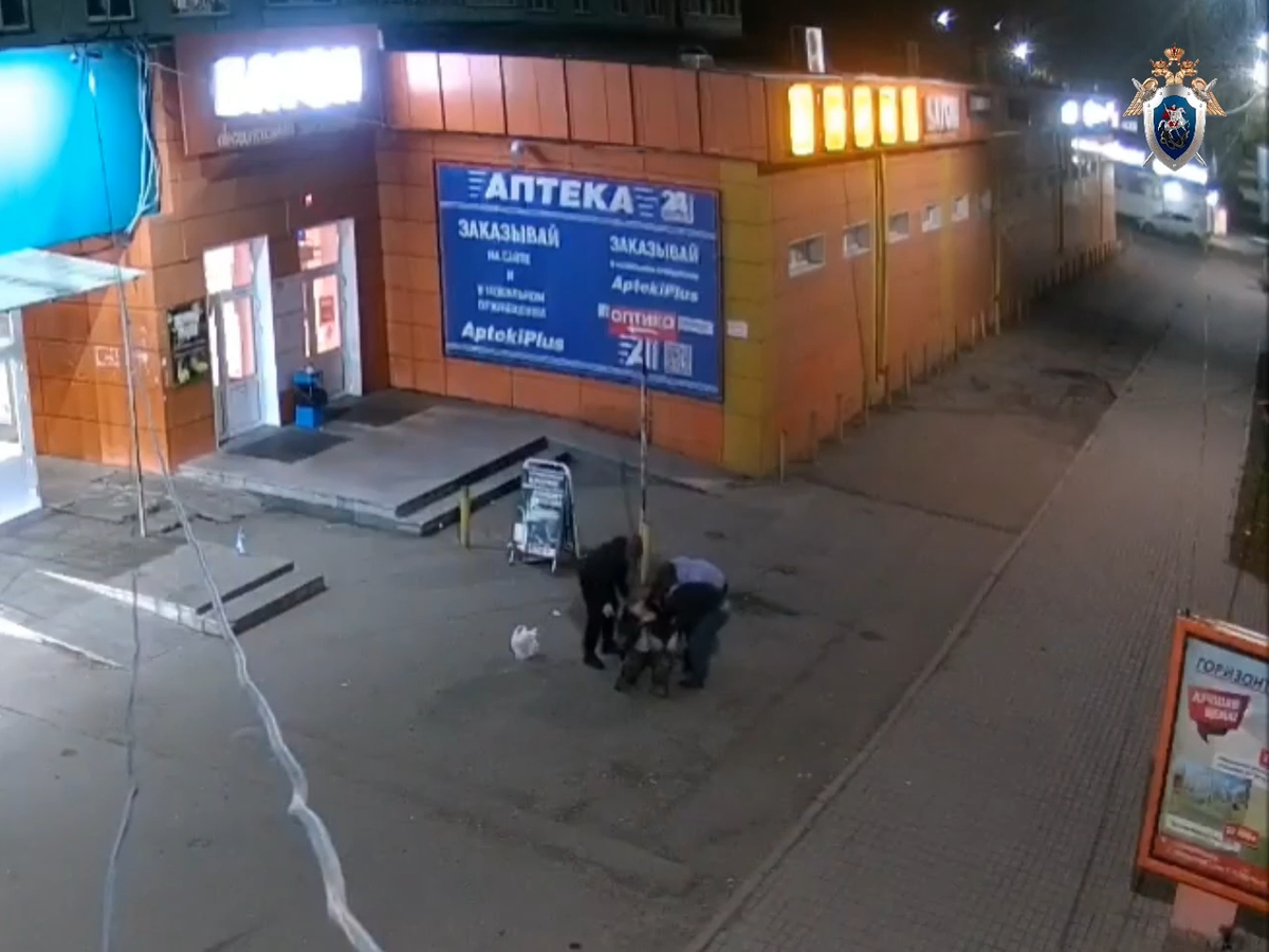     В Сосновоборске ищут мужчину, на которого напала компания подростков